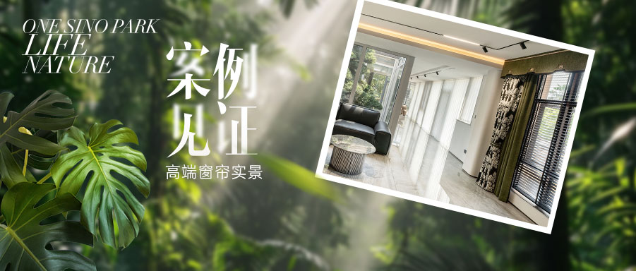 【一葉千金-魅影黑】讓綠意在家中蔓延